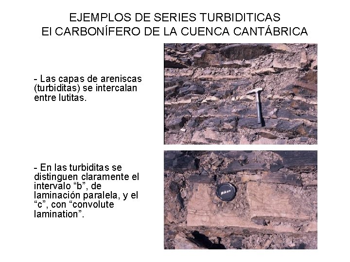 EJEMPLOS DE SERIES TURBIDITICAS El CARBONÍFERO DE LA CUENCA CANTÁBRICA - Las capas de