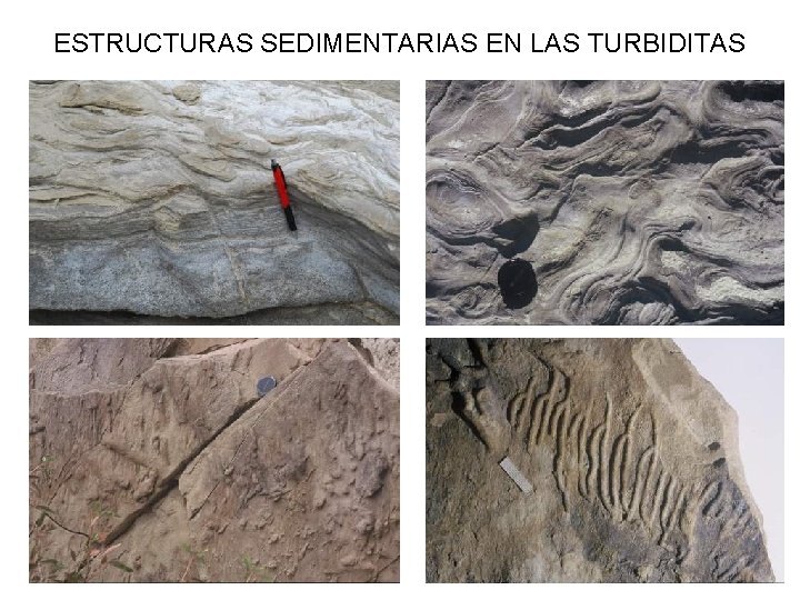 ESTRUCTURAS SEDIMENTARIAS EN LAS TURBIDITAS 