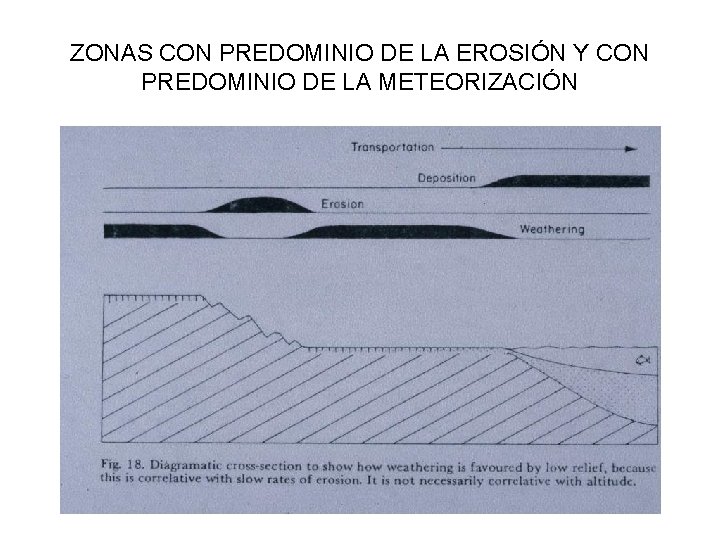 ZONAS CON PREDOMINIO DE LA EROSIÓN Y CON PREDOMINIO DE LA METEORIZACIÓN 