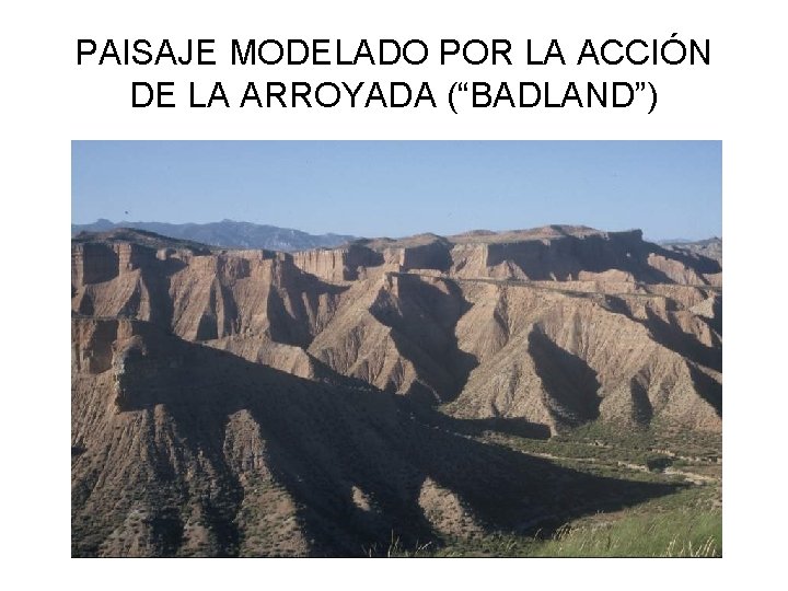 PAISAJE MODELADO POR LA ACCIÓN DE LA ARROYADA (“BADLAND”) 