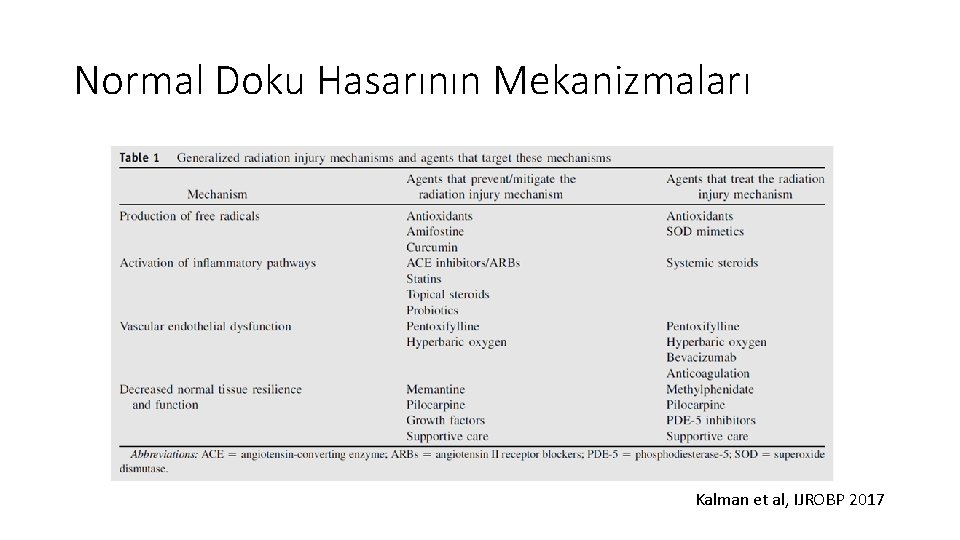 Normal Doku Hasarının Mekanizmaları Kalman et al, IJROBP 2017 