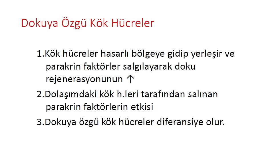 Dokuya Özgü Kök Hücreler 