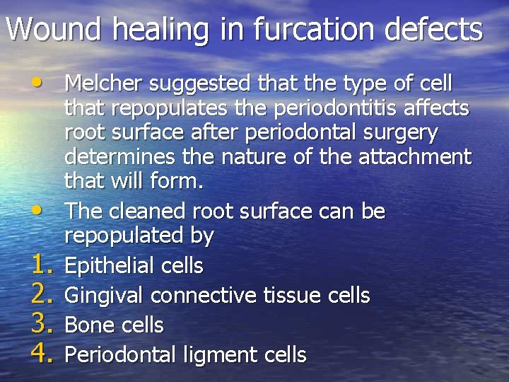 Wound healing in furcation defects • Melcher suggested that the type of cell • Wound healing in furcation defects • Melcher suggested that the type of cell •