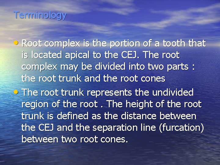 Terminology • Root complex is the portion of a tooth that is located apical