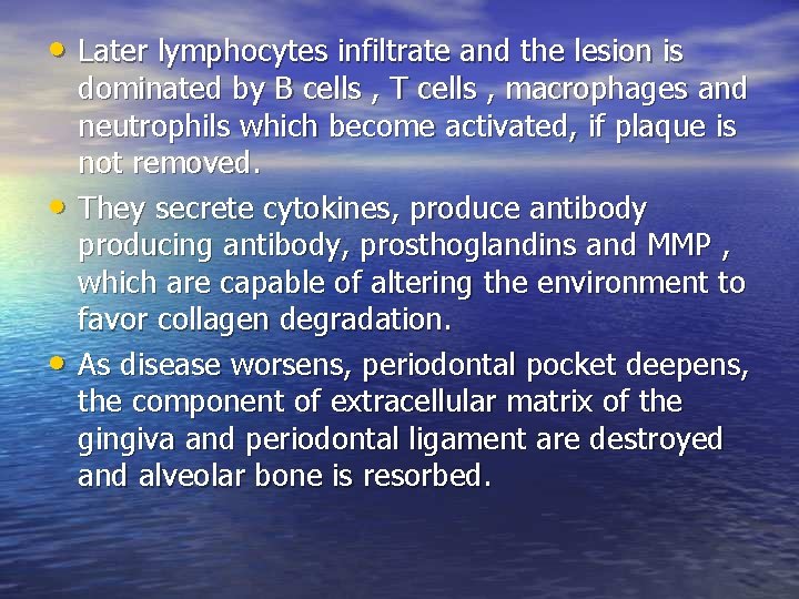  • Later lymphocytes infiltrate and the lesion is • • dominated by B