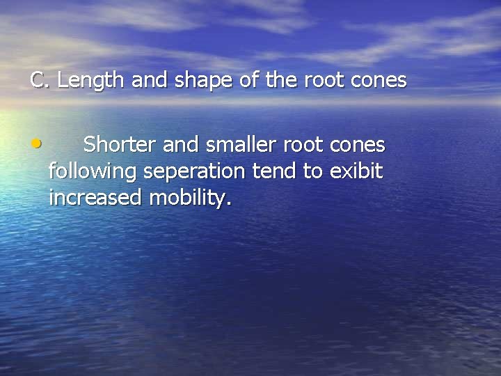 C. Length and shape of the root cones • Shorter and smaller root cones