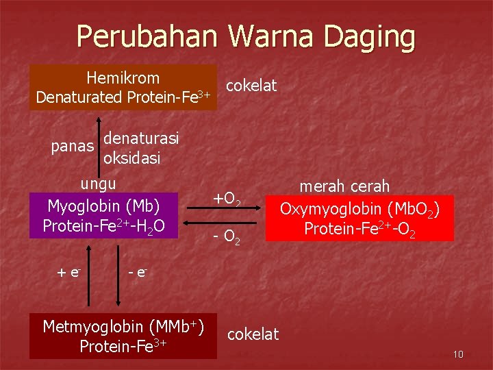 Perubahan Warna Daging Hemikrom cokelat 3+ Denaturated Protein-Fe panas denaturasi oksidasi ungu Myoglobin (Mb)