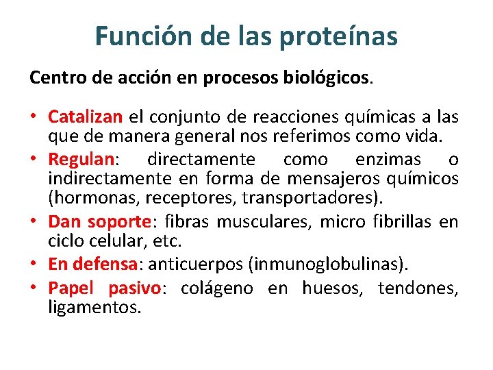 Función de las proteínas Centro de acción en procesos biológicos. • Catalizan el conjunto