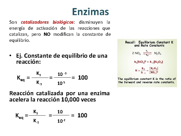 Enzimas Son catalizadores biológicos: disminuyen la energía de activación de las reacciones que catalizan,