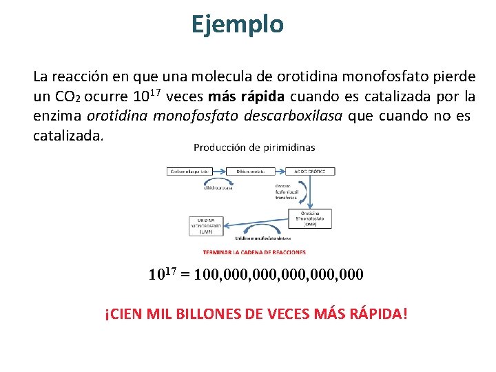 Ejemplo La reacción en que una molecula de orotidina monofosfato pierde un CO 2