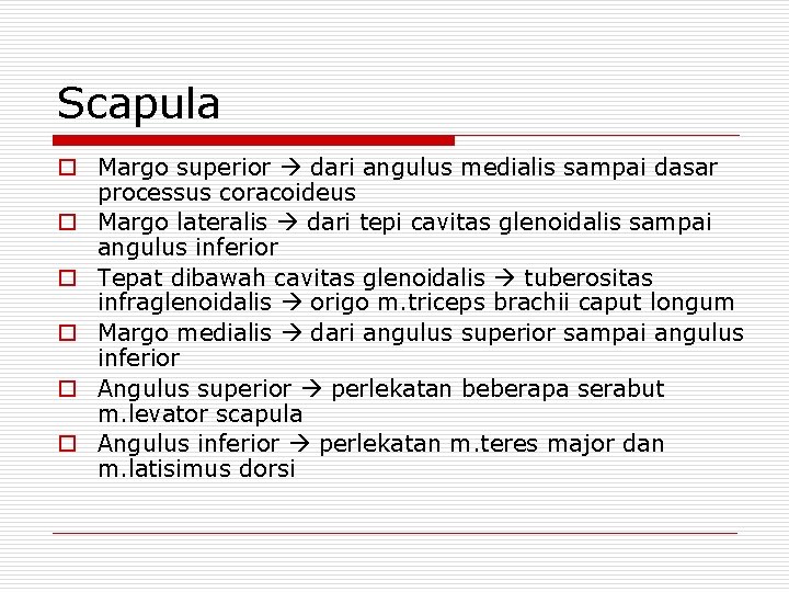 Scapula o Margo superior dari angulus medialis sampai dasar processus coracoideus o Margo lateralis