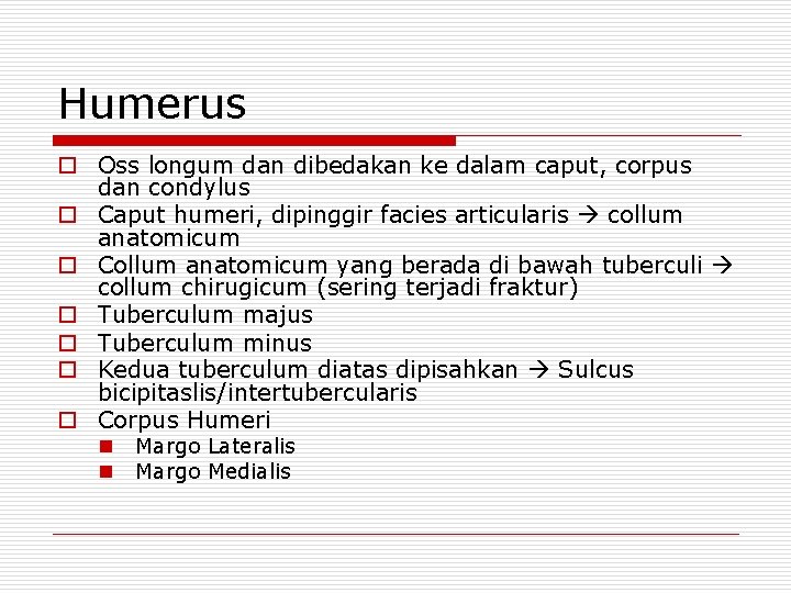 Humerus o Oss longum dan dibedakan ke dalam caput, corpus dan condylus o Caput