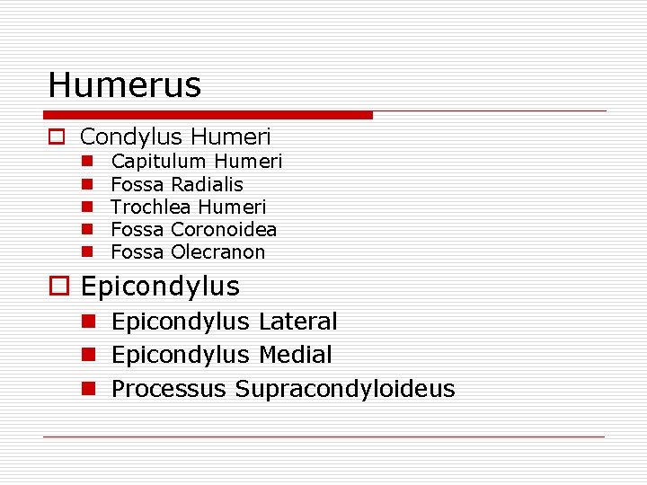 Humerus o Condylus Humeri n n n Capitulum Humeri Fossa Radialis Trochlea Humeri Fossa