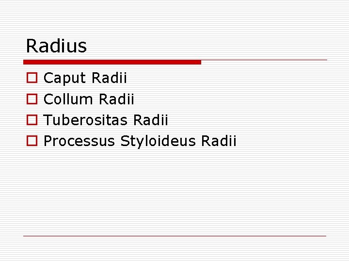 Radius o o Caput Radii Collum Radii Tuberositas Radii Processus Styloideus Radii 