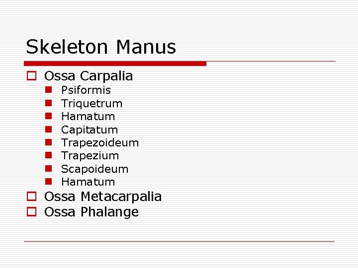 Skeleton Manus o Ossa Carpalia n n n n Psiformis Triquetrum Hamatum Capitatum Trapezoideum