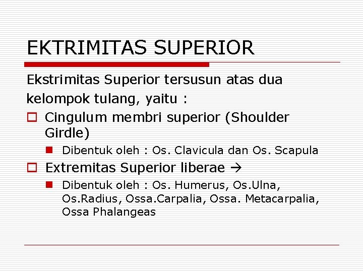 EKTRIMITAS SUPERIOR Ekstrimitas Superior tersusun atas dua kelompok tulang, yaitu : o Cingulum membri