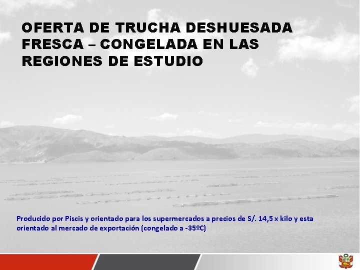 OFERTA DE TRUCHA DESHUESADA FRESCA – CONGELADA EN LAS REGIONES DE ESTUDIO Producido por