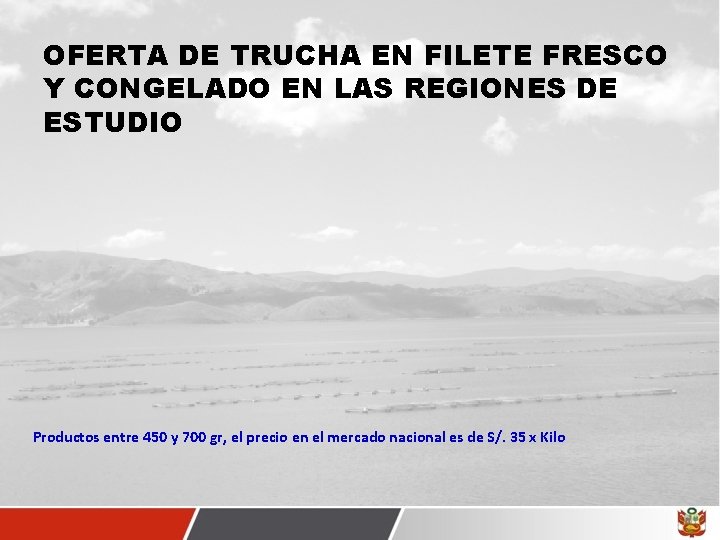 OFERTA DE TRUCHA EN FILETE FRESCO Y CONGELADO EN LAS REGIONES DE ESTUDIO Productos