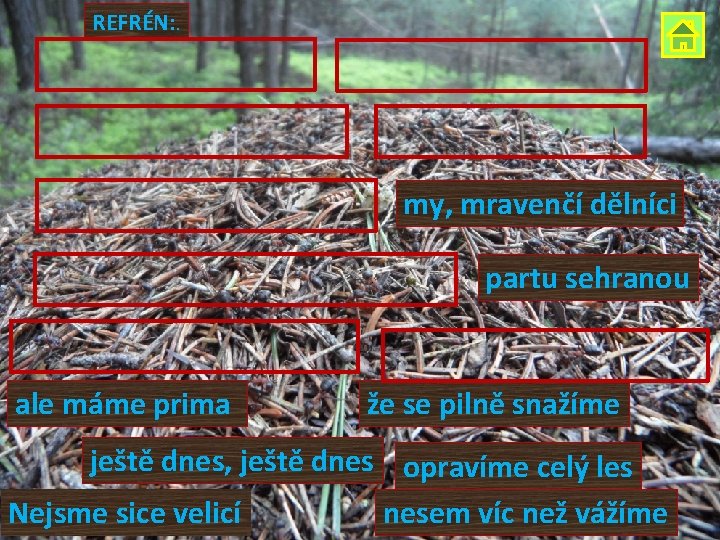 REFRÉN: . my, mravenčí dělníci partu sehranou ale máme prima že se pilně snažíme