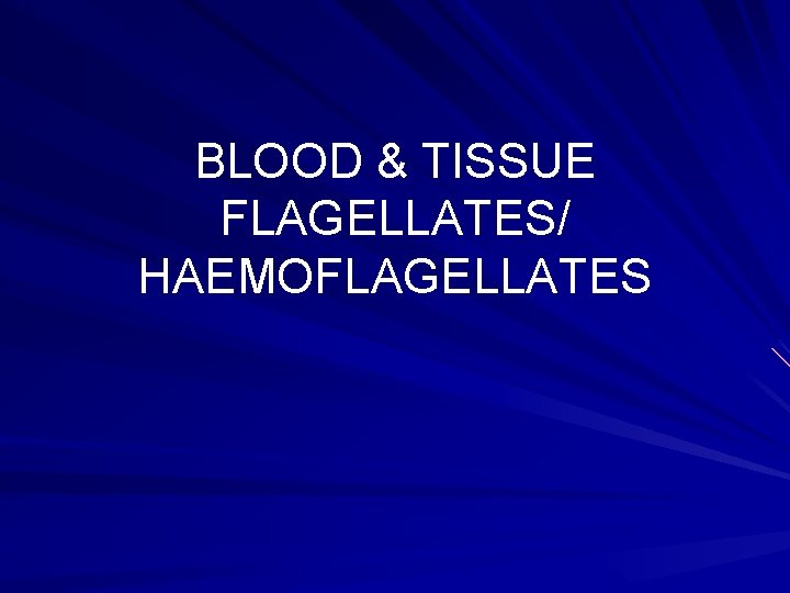 BLOOD & TISSUE FLAGELLATES/ HAEMOFLAGELLATES 