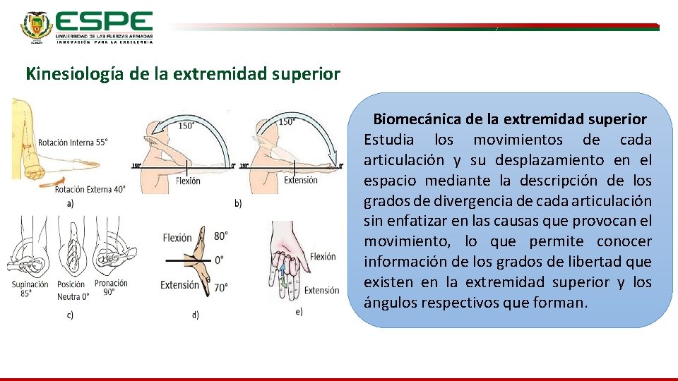 Kinesiología de la extremidad superior Biomecánica de la extremidad superior Estudia los movimientos de