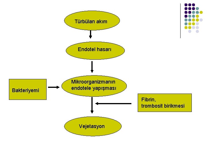 Türbülan akım Endotel hasarı Bakteriyemi Mikroorganizmanın endotele yapışması Fibrin, trombosit birikmesi Vejetasyon 
