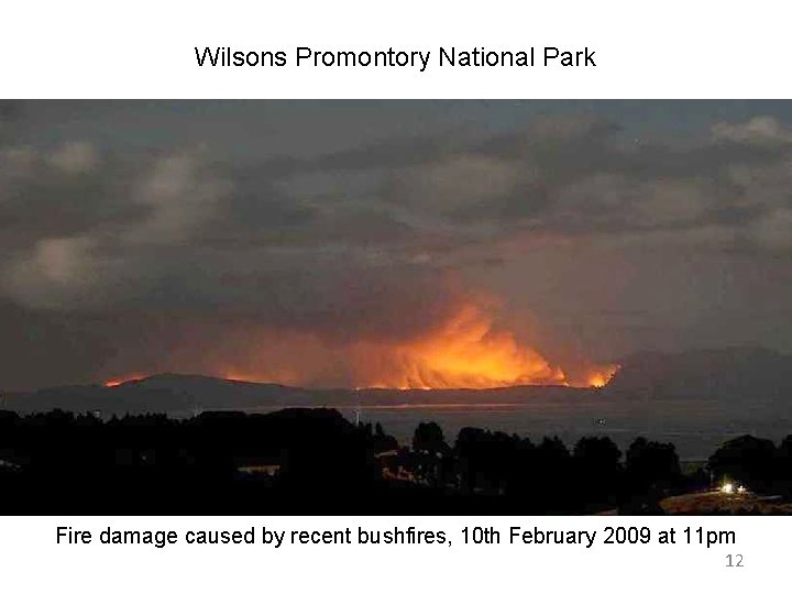 Wilsons Promontory National Park Fire damage caused by recent bushfires, 10 th February 2009 Wilsons Promontory National Park Fire damage caused by recent bushfires, 10 th February 2009