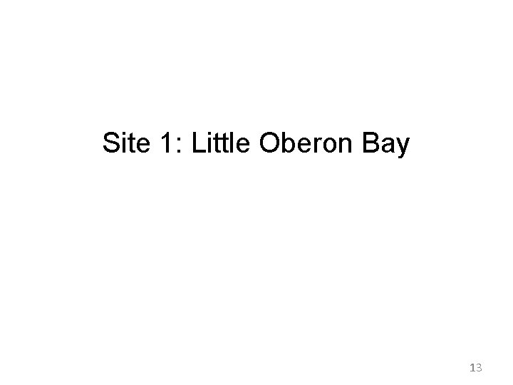 Site 1: Little Oberon Bay 13 Site 1: Little Oberon Bay 13