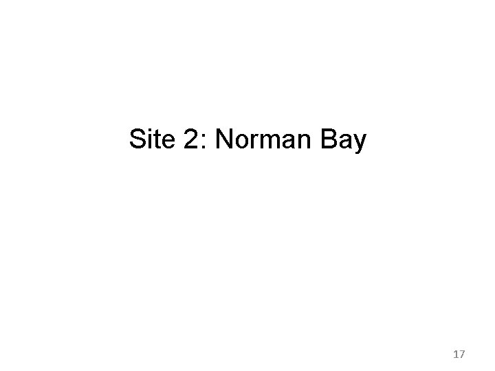 Site 2: Norman Bay 17 Site 2: Norman Bay 17