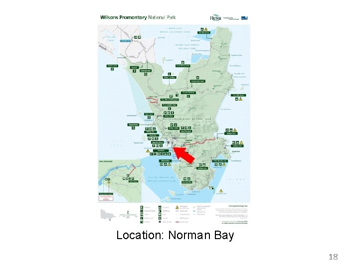 Location: Norman Bay 18 Location: Norman Bay 18