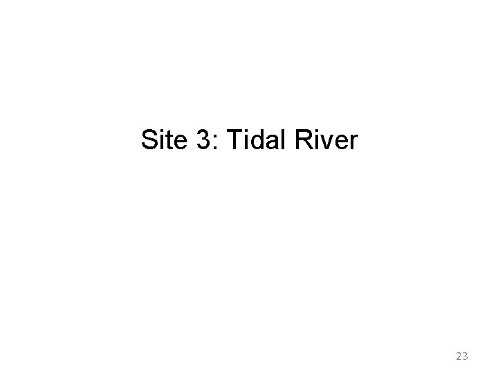 Site 3: Tidal River 23 Site 3: Tidal River 23