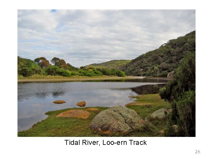 Tidal River, Loo-ern Track 26 Tidal River, Loo-ern Track 26