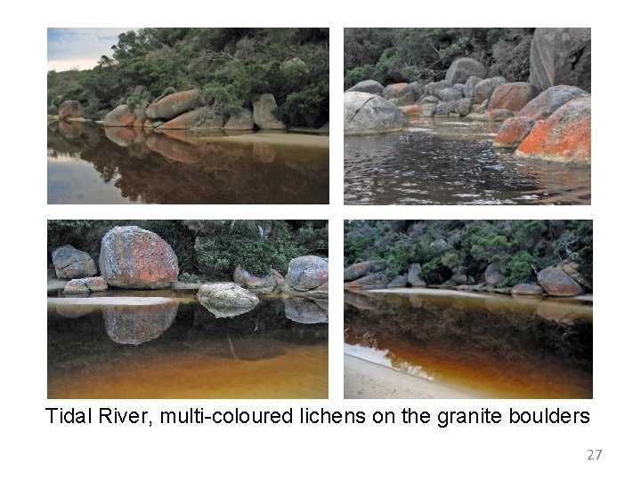 Tidal River, multi-coloured lichens on the granite boulders 27 Tidal River, multi-coloured lichens on the granite boulders 27
