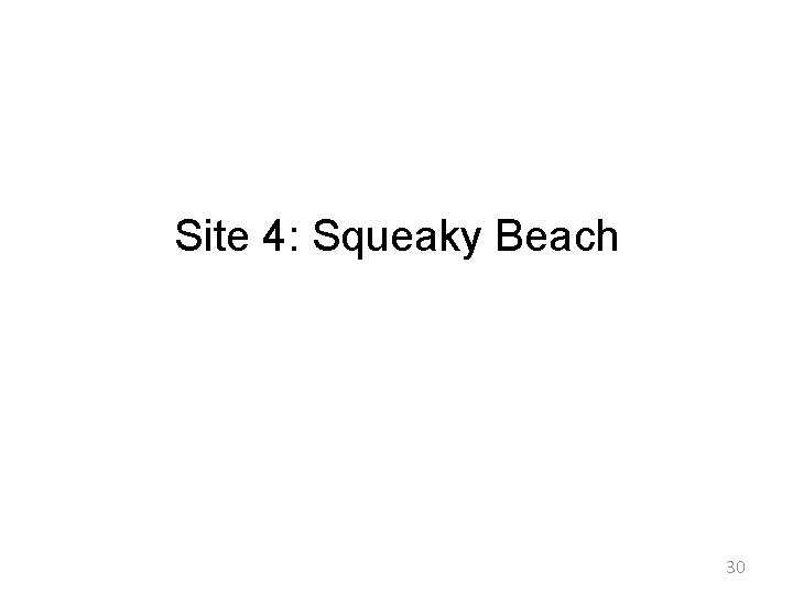Site 4: Squeaky Beach 30 Site 4: Squeaky Beach 30