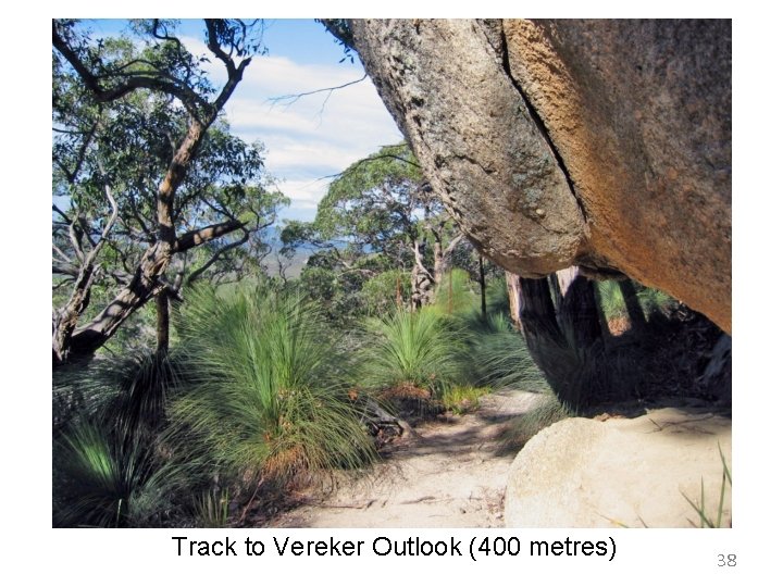 Track to Vereker Outlook (400 metres) 38 Track to Vereker Outlook (400 metres) 38