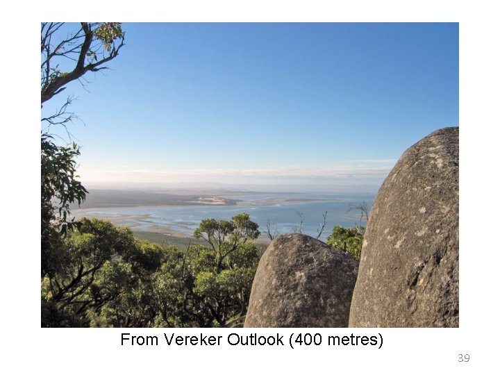 From Vereker Outlook (400 metres) 39 From Vereker Outlook (400 metres) 39