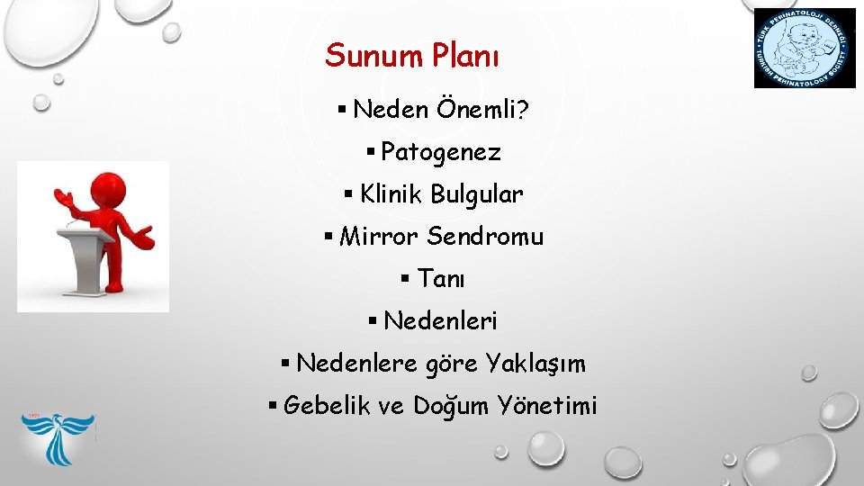 Sunum Planı § Neden Önemli? § Patogenez § Klinik Bulgular § Mirror Sendromu § Sunum Planı § Neden Önemli? § Patogenez § Klinik Bulgular § Mirror Sendromu §