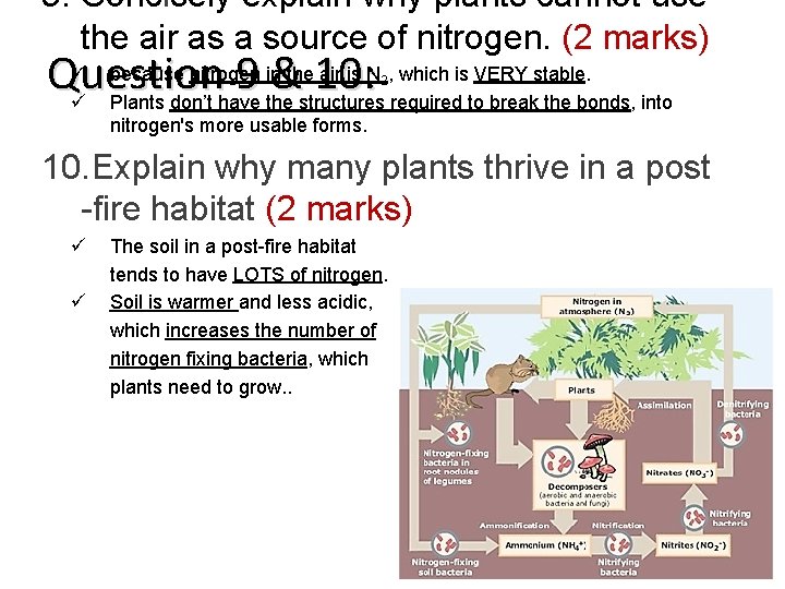 9. Concisely explain why plants cannot use the air as a source of nitrogen.