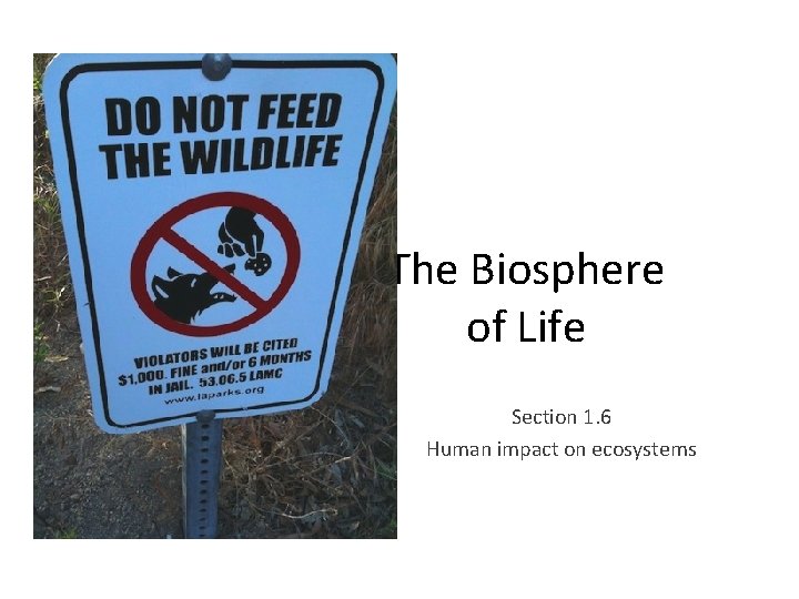 The Biosphere of Life Section 1. 6 Human impact on ecosystems 
