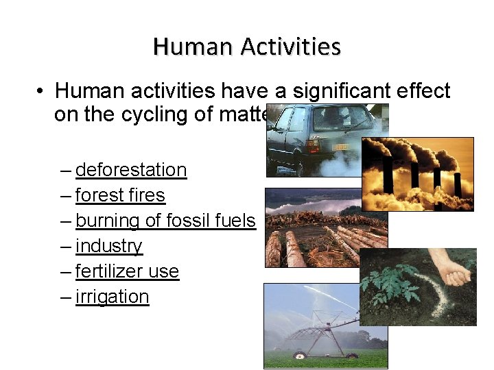 Human Activities • Human activities have a significant effect on the cycling of matter