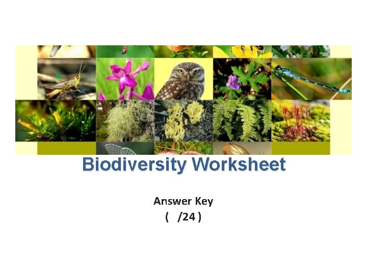 Biodiversity Worksheet Answer Key ( /24 ) 