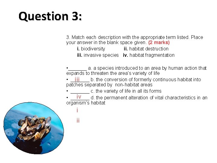 Question 3: 3. Match each description with the appropriate term listed. Place your answer
