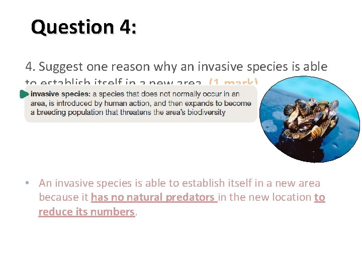 Question 4: 4. Suggest one reason why an invasive species is able to establish