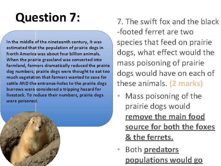 Question 7: In the middle of the nineteenth century, it was estimated that the