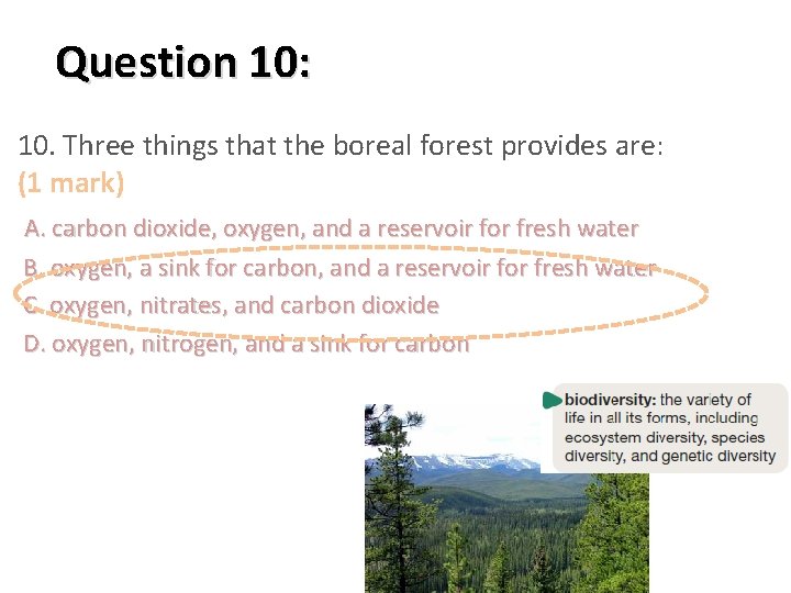 Question 10: 10. Three things that the boreal forest provides are: (1 mark) A.