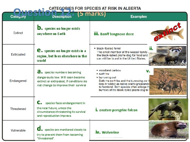 Question 12: (5 marks) b. species no longer exists anywhere on Earth iii. Banff