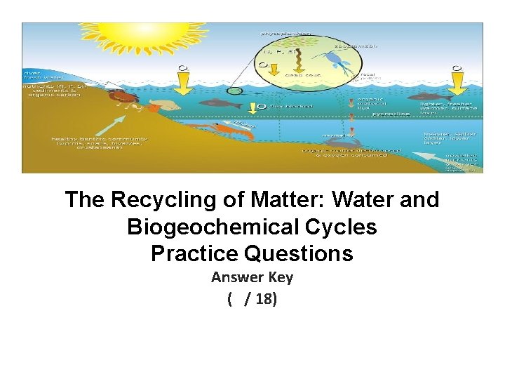 The Recycling of Matter: Water and Biogeochemical Cycles Practice Questions Answer Key ( /