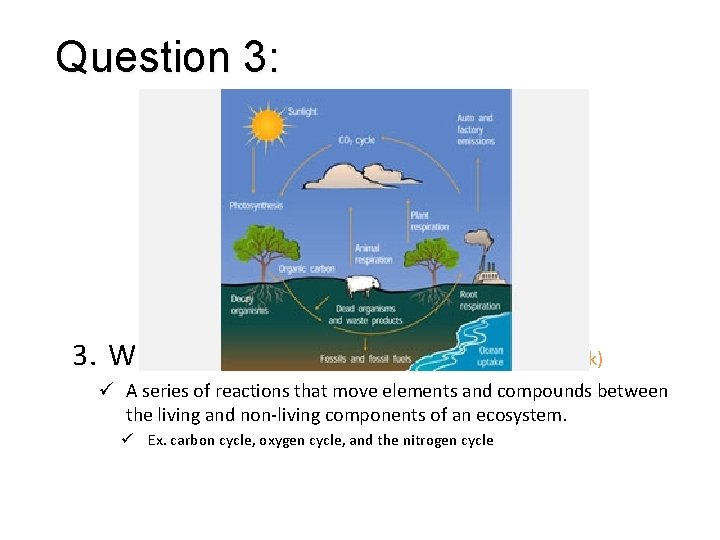 Question 3: 1. 2. AA Mmf 3. What is a biogeochemical cycle? (1 mark)