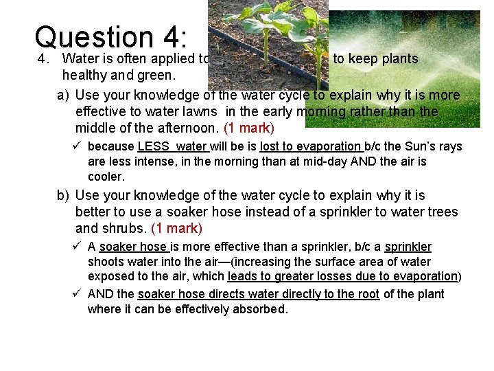 Question 4: 4. Water is often applied to lawns and gardens to keep plants