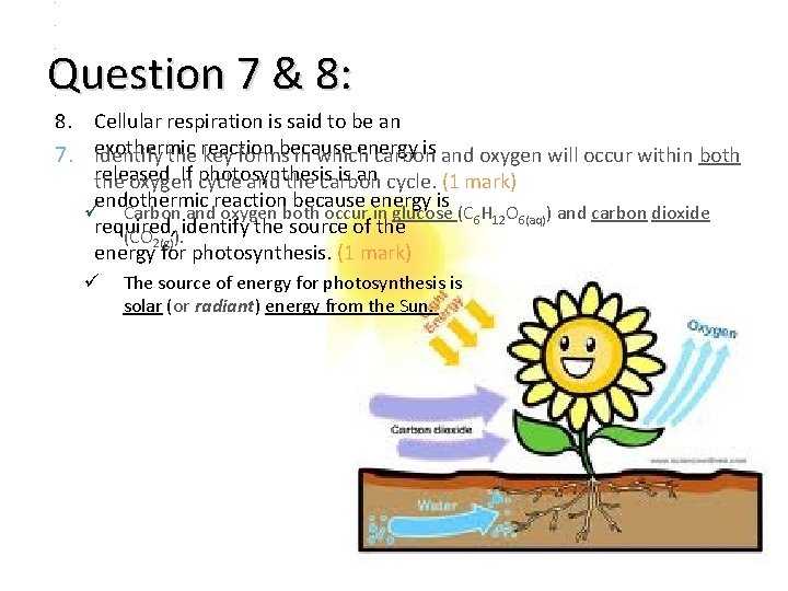 1. cvc 2. bhfsdf Question 7 & 8: 3. Bfsbs 1. 2. 3. 4.